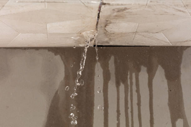 Professional Burst Pipe Cleanup technician working in Lexington, AL